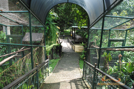 bali zoo park singapadu