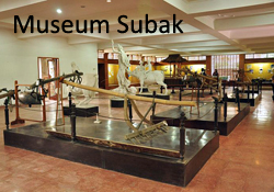 museum subak